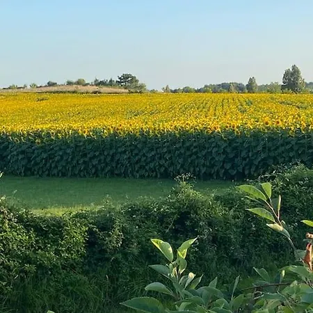 Le Petit Coin With Pool, Near Aubeterre Sur Dronne * Saint-Romain (Charente)